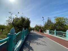 -上海长兴岛郊野公园