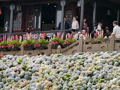 -苏州上方山国家森林公园