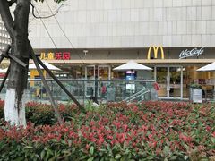 -麦当劳(塔园路店)