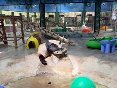 -栾川竹海野生动物园