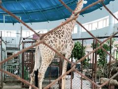 -哈尔滨北方森林动物园
