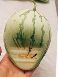 -Oasis Beauty水磨坊科技美肤中心