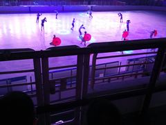 -松江大学城体育馆滑冰馆