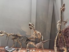 -重庆自然博物馆(新馆)