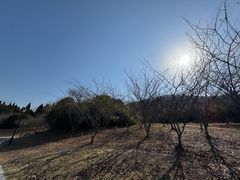 -南山风景名胜区