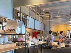 -Wagas沃歌斯(汇智店)