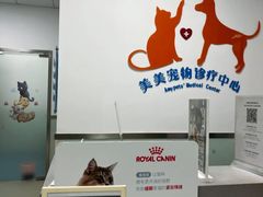 -美美宠物诊疗中心·异宠·骨科(滨江东信分院)