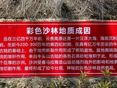 -彩色沙林风景区