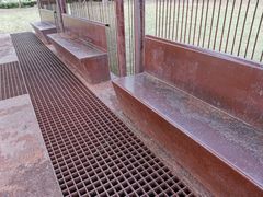 -南汇新城城市公园