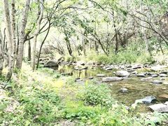 -玉渡山自然风景区