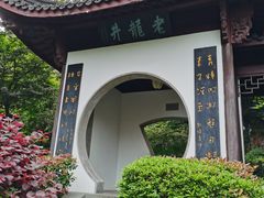 -十八棵（老龙井）御茶园(老龙井店)