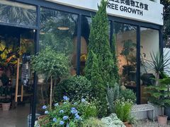 -自由生长植物工作室(深港花卉中心店)