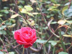 -丹麦艺术与设计博物馆