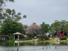 -海珠湖公园