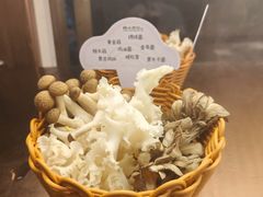 -楠小云·云南鲜牛野生菌自助火锅(九眼桥店)