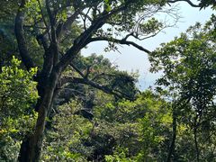-梧桐山风景名胜区