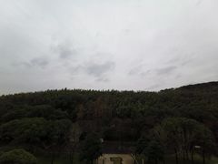 -上海佘山世茂艾美酒店