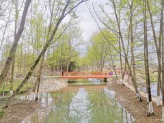 -桤木河湿地公园