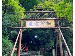 -都江堰景区