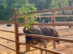 -秦皇岛野生动物园