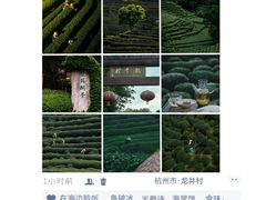 -中国茶叶博物馆(双峰馆区)