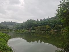 -南国桃园旅游度假区