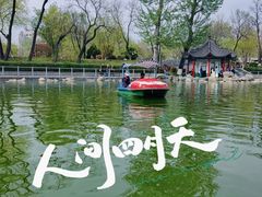 -莲湖公园