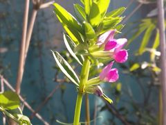 -马尔贝拉度假城