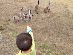 -宁波野生动物园
