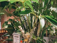 -HERB SPICE(来凤街店)