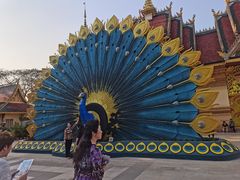 -西双版纳勐泐文化旅游区