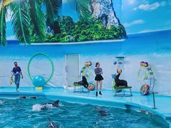 -尼莫海豚馆