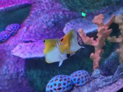 -沈阳海洋探索中心