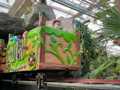 -南宫五洲植物乐园