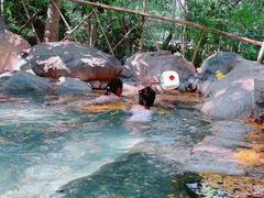 -湖泉半山温泉