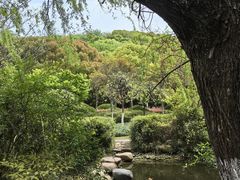 -汤山公园
