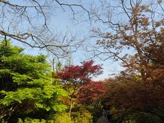 -苏州上方山国家森林公园