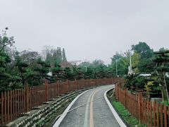 -郫都区农科村景区