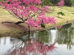 -上海辰山植物园