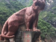 -丽江虎跳峡景区-售票处