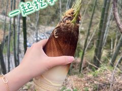 -长沙黑麋峰国家森林公园