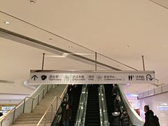 -上海中心大厦