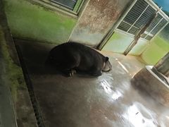 -石家庄市动物园