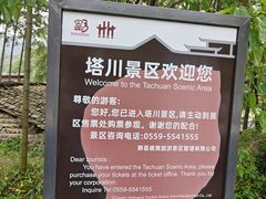 -塔川景区