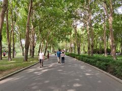 -长春公园(普阳街道)