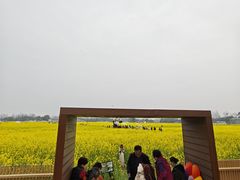 -桤木河湿地公园