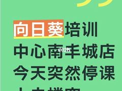 -向日葵艺术中心美术(虹桥南丰城校区)