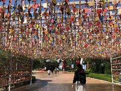 -七彩云南欢乐世界