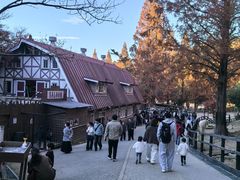 -神户市立六甲山牧场