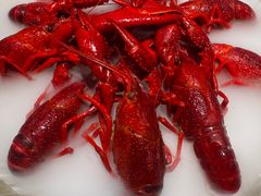 -红盔甲·小龙虾(定西路店)